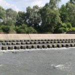 Barajul afectează populaţia de peşte,   care nu îşi mai poate depune icrele în amonte  /  sursa foto: gazetademaramures.ro