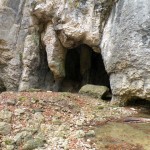 Peștera de la Măgurici adăposteşte specii rare de lilieci,   dar şi rarităţi mineralogice naţionale şi mondiale /  Sursa foto: cuprins.net
