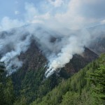 Incendiul a distrus peste 13 hectare de pădure şi pajişti alpine