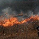 De la începutul anului,   în judeţul Satu Mare au fost înregistrate 31 de incendii / Sursa foto: rtv.net