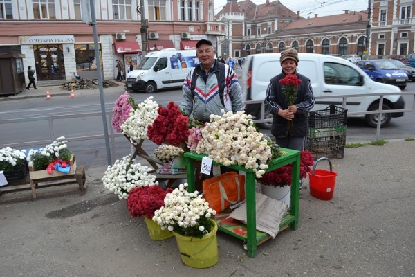 Familia Crișan vine an de an în oraș să vândă crizanteme,   cumpărătorii fiind din ce în ce mai pretențioși și „zgârciți” (FOTO: Radu Hângănuț)