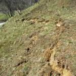 Alunecarea de teren s-a produs pe drumul turistic Groşii Ţibleşului - Botiza din Munţii Ţibleşului / Sursa foto: actualmm.ro