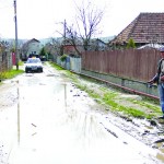 Doi localnici de pe strada Cantonului au pozat pentru Transilvania Reporter ca pescari pe una dintre bălțile uriașe de pe stradă/ Foto: Dan Bodea