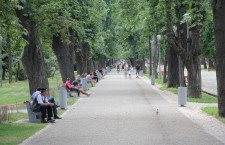 Parcul Central a primit certificat de excelenţă de la TripAdvisor