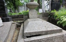 Mormântul abandonat al lui Jeno Janovics