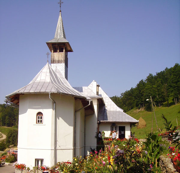 Mănăstirea Izvorul Tămăduirii de la Petrova