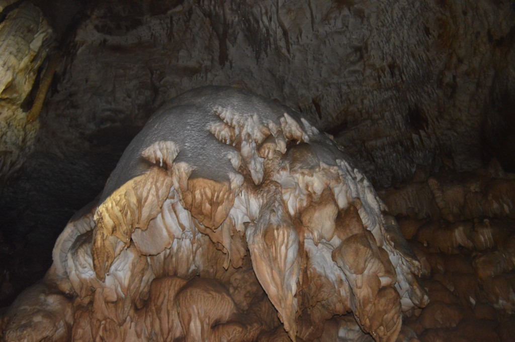 Peșteră din Bihor
