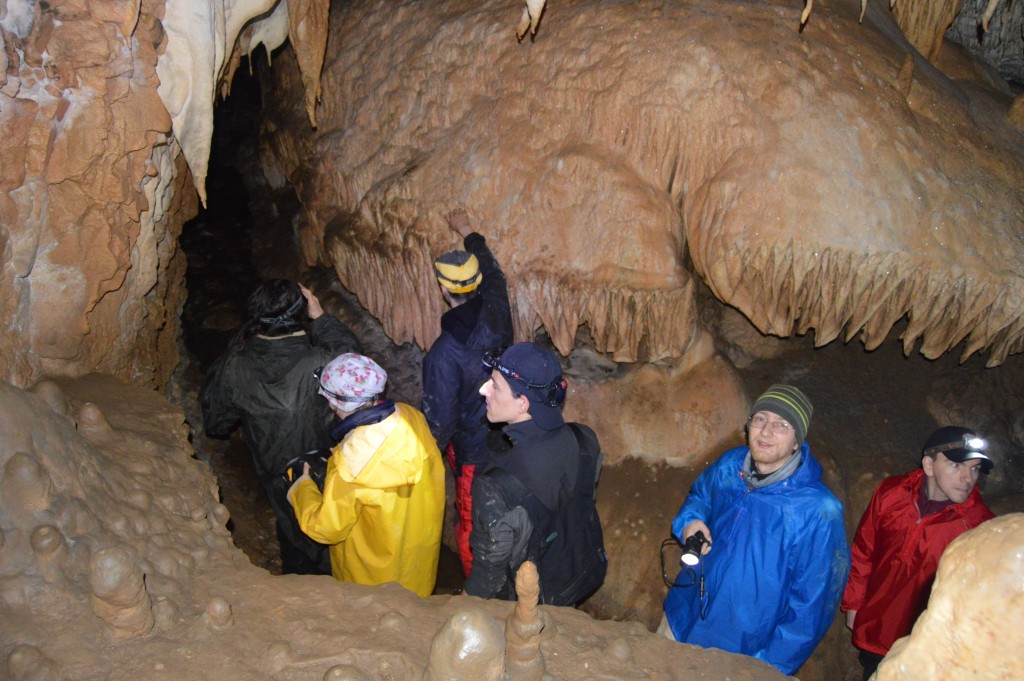 Peștera din Bihor