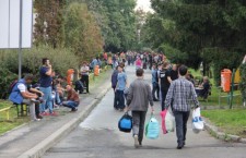 Sute de amenzi în campusurile universitare clujene