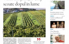 Nu ratați noul număr Transilvania Reporter: „Vinul din judeţul Cluj scoate dopul în lume”