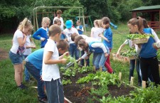 Amenajarea grădinii de la Școala Elf din Cluj-Napoca