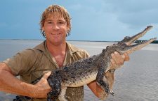 10 ani fără Steve Irwin,   „Vânătorul de crocodili”