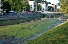 Someşul Mic în zona Podului Elisabeta din Cluj-Napoca / Foto: Maria Man