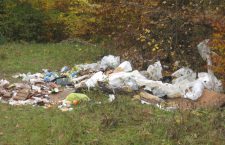 O nouă depozitare ilegală de deșeuri în pădurea Făget