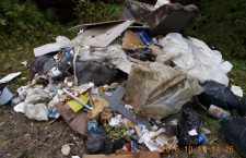 Amendă de 2500 de lei pentru depozitări ilegale de deșeuri