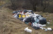 Depozitare ilegală de deșeuri în pădurea Făget