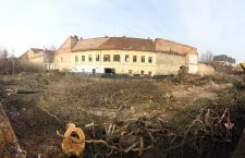 Verificări în regim de urgență, după ce mai mulți arbori seculari au fost tăiați din prima Grădină Botanică a Clujului