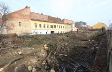 Primăria aduce clarificări în cazul tăierii de arbori din prima grădină botanică a Clujului