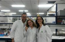 Maria Stanciu (foto mijloc), lucrând în laboratorul de Toxicologie din cadrul Universităţii din Valencia/ Foto: arhiva personală