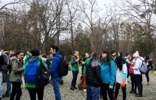 Keep it Green! Peste 200 de voluntari au participat la cea mai mare campanie de plantare inițiată de UBB