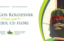 O asociație își propune să înfrumusețeze orașul printr-o inițiativă inedită: „Clujul cu Flori”