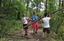 Curăţenie de vară pe traseele montane din judeţ