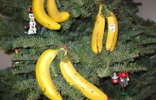 Moș Crăciun sau ziua bananelor