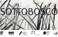 Expoziție internațională de artă la Cluj: SOTTOBOSCO