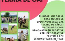Jocuri și divertisment pentru întreaga familie, la ferma de cai