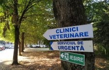 În cadrul Facultății de Medicină Veterinară de la Cluj funcționează cinci clinici și un spital de urgență | Foto: Bogdan Stanciu